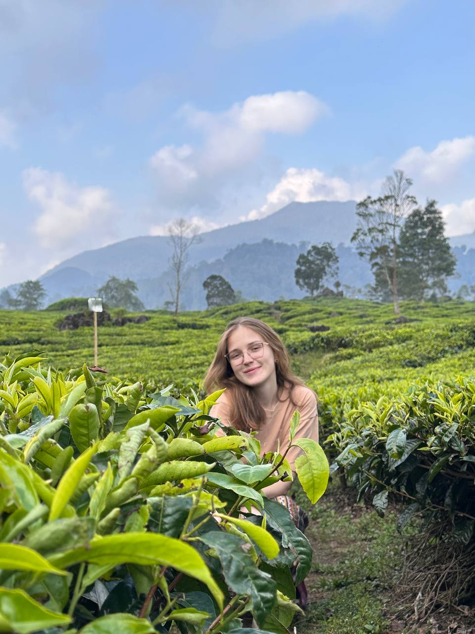 КОТОВА КСЕНИЯ АЛЕКСАНДРОВНА